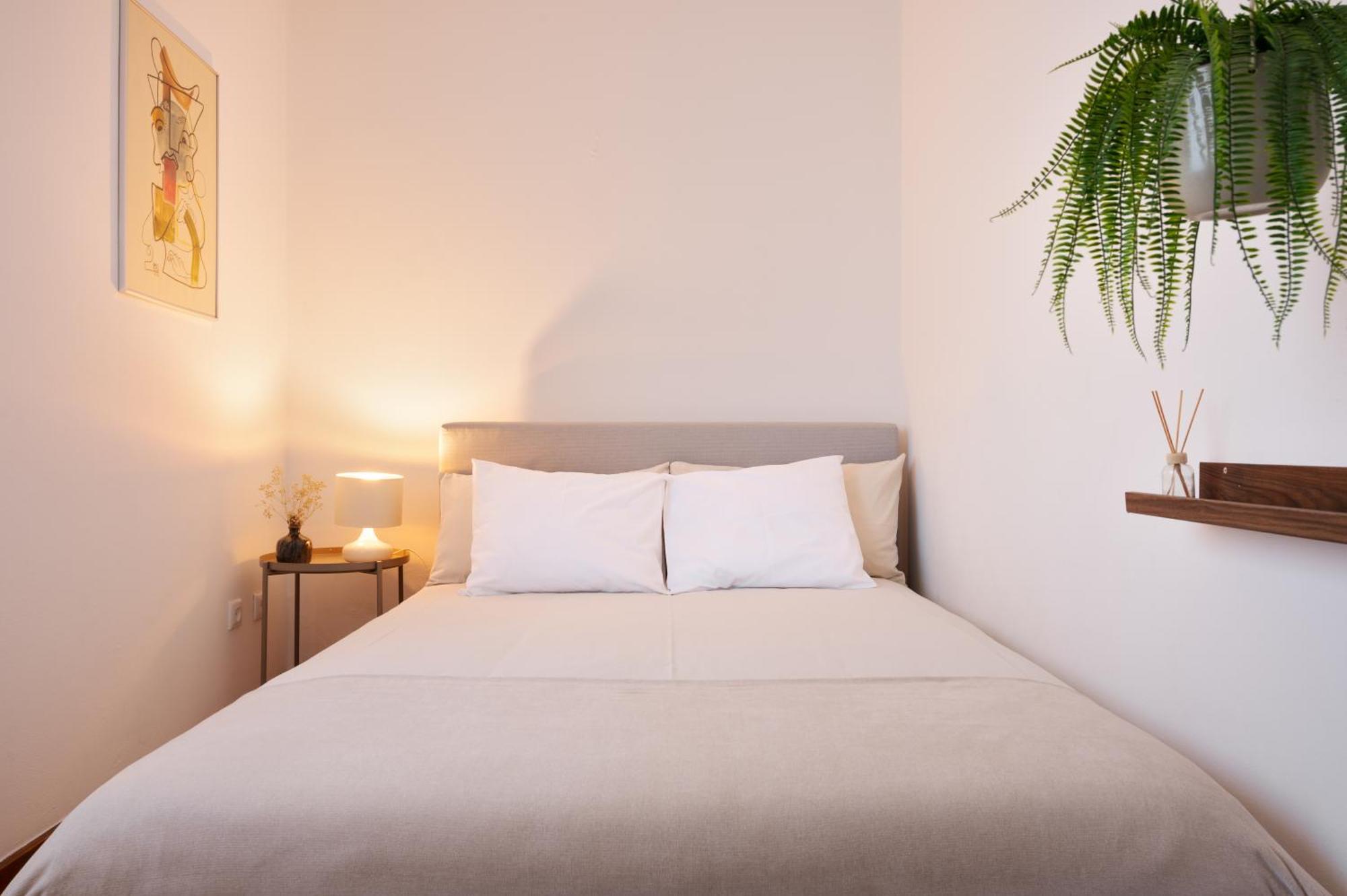 ! Bright 2Br Hammock Flat ! Praca Da Republica Apartman Porto Kültér fotó